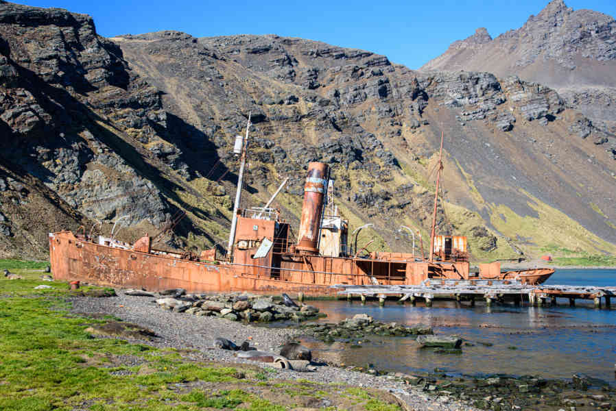 Islas Georgias del Sur 034 - Grytviken - Harpon Jetty.jpg
